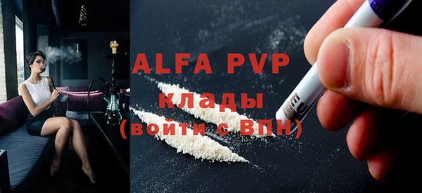 индика Шадринск