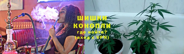 прущие крисы Елизово