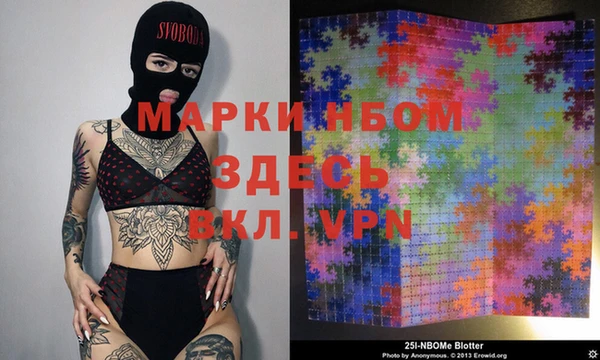 прущие крисы Елизово