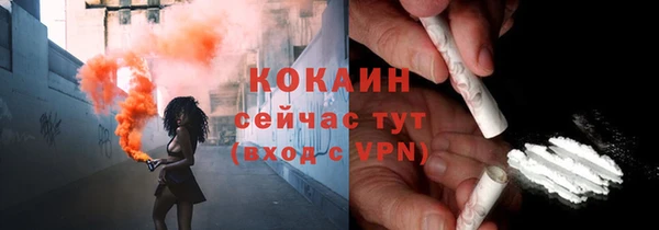 кокс Ельня