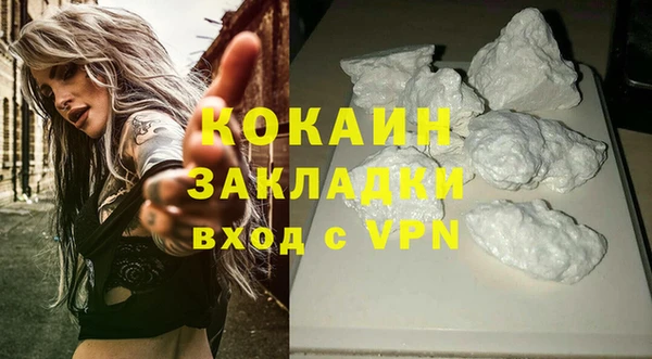 кокс Ельня