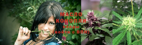 прущие крисы Елизово
