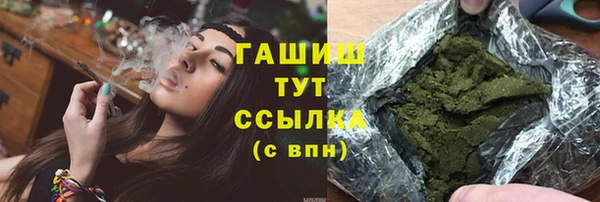 индика Шадринск