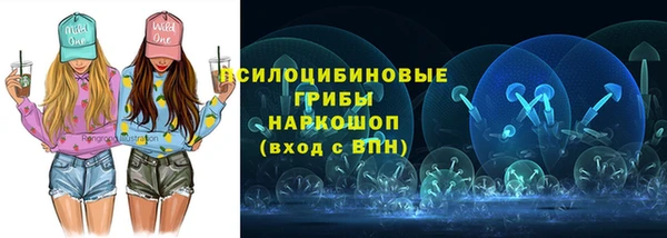 кокс Ельня